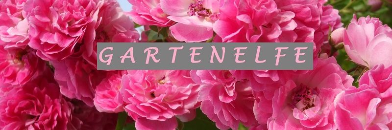 gartenelfe.net